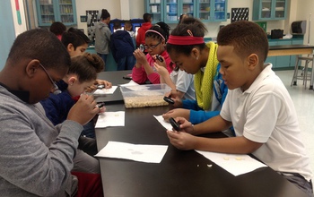 Children at a table in school examine seeds